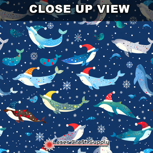 Creative Cast Acrylics - Christmas Dolphins