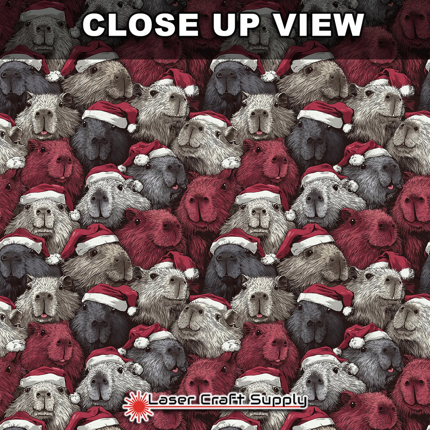 Crowded Chrismas Capybaras