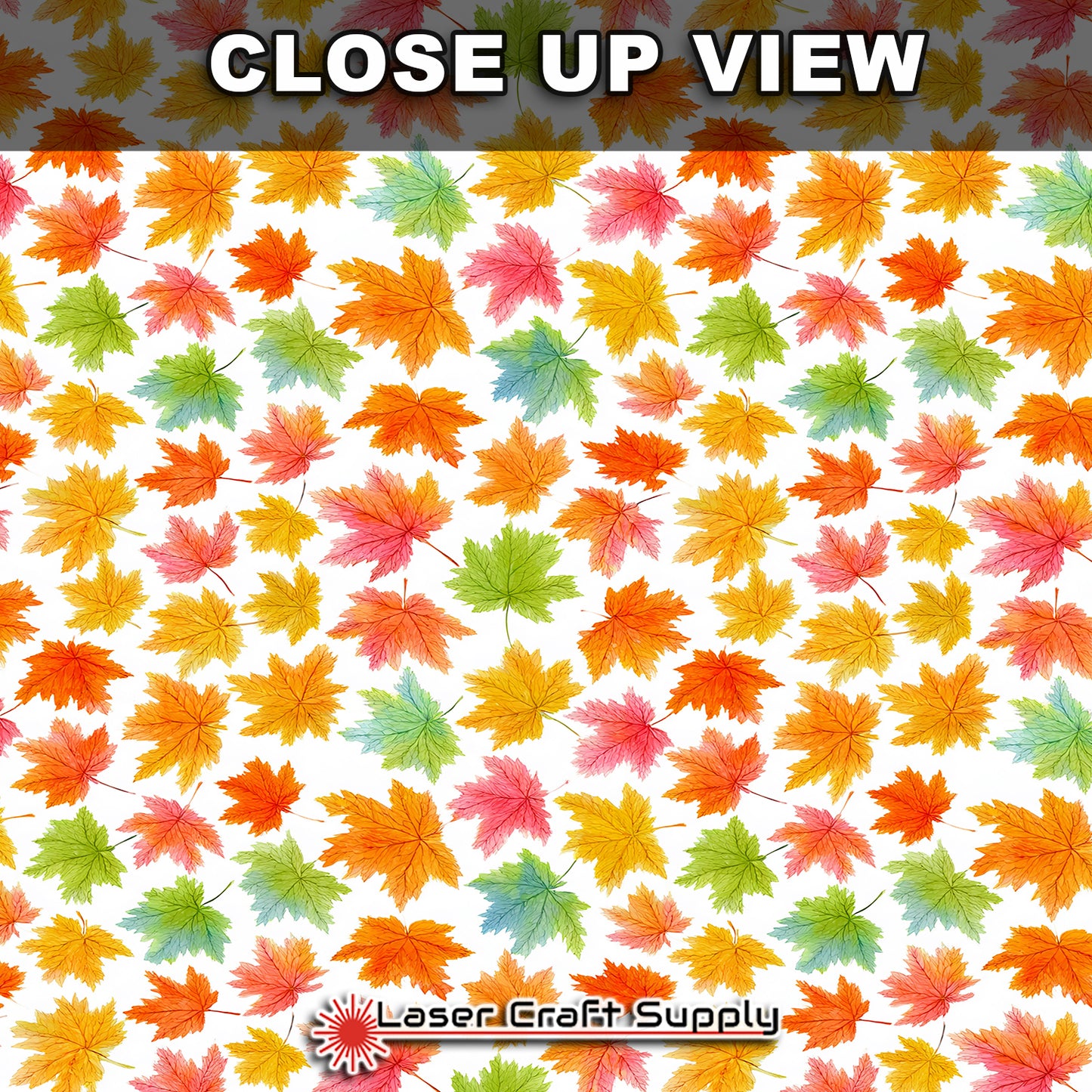 Fall Leaves in color