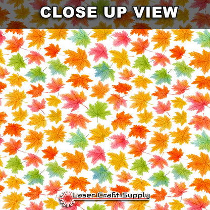 Fall Leaves in color