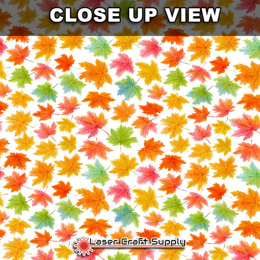 Fall Leaves in color