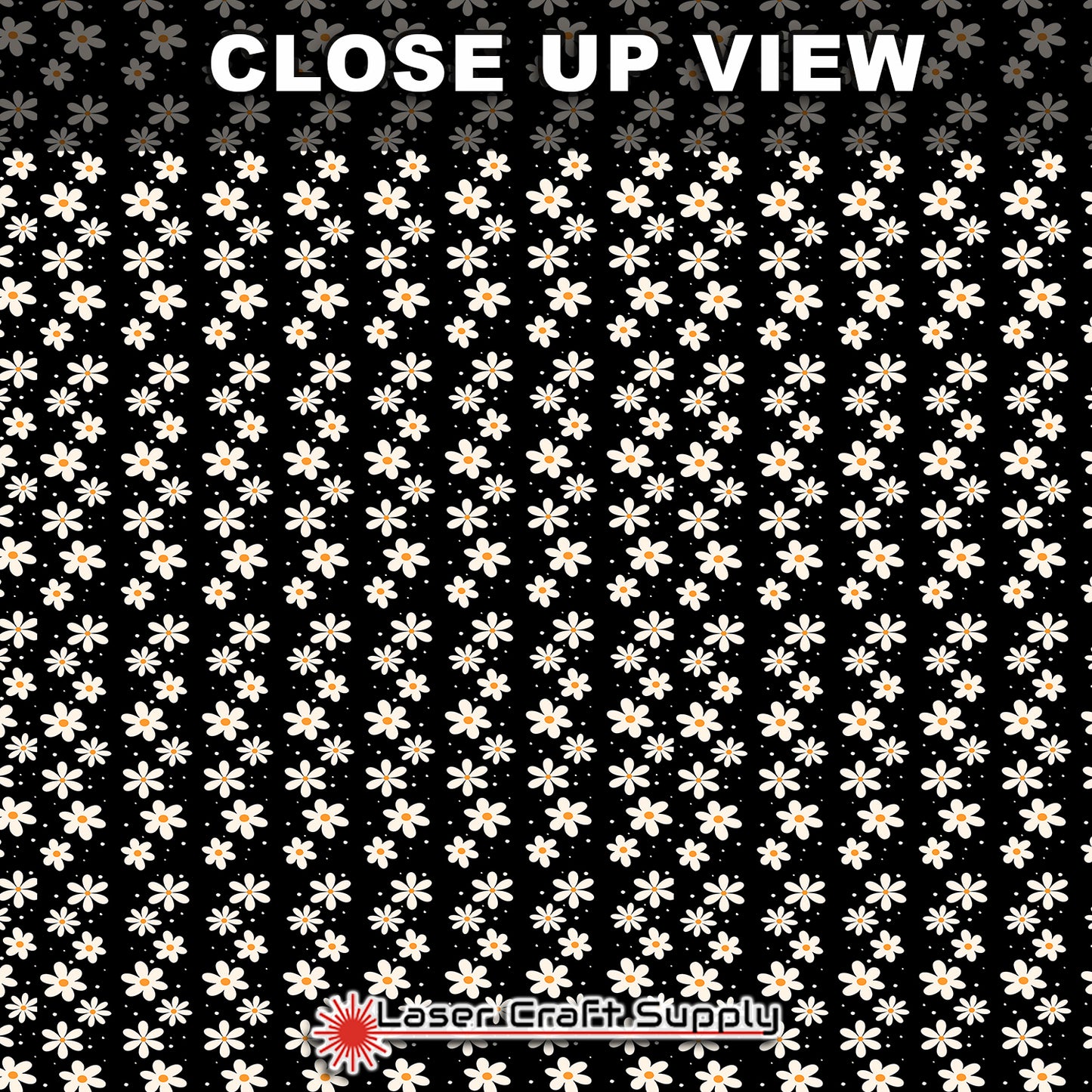 Fun White Daisies on Black
