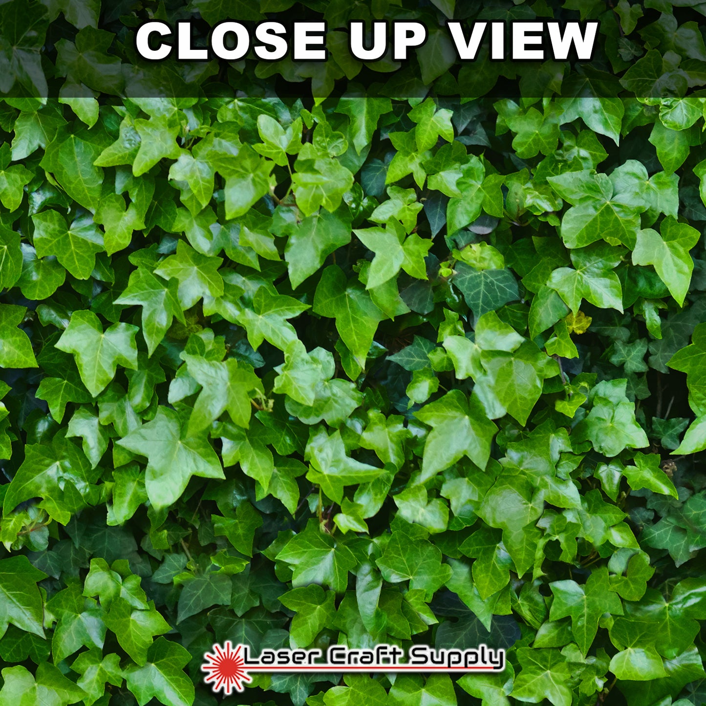 Creative Cast Acrylics - Ivy Attack