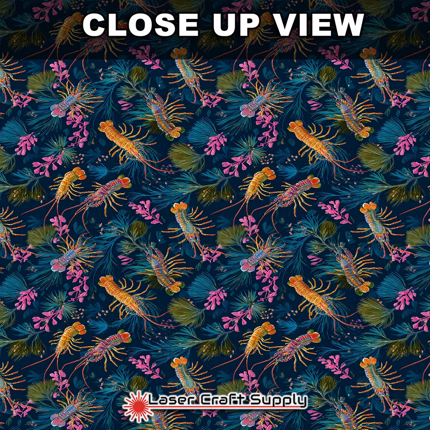 Key West Lobsters in Sea Weed