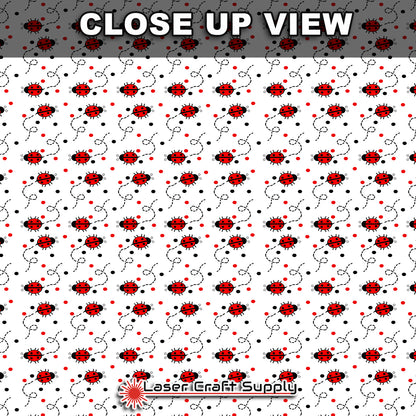 Lady Bugs on the Move