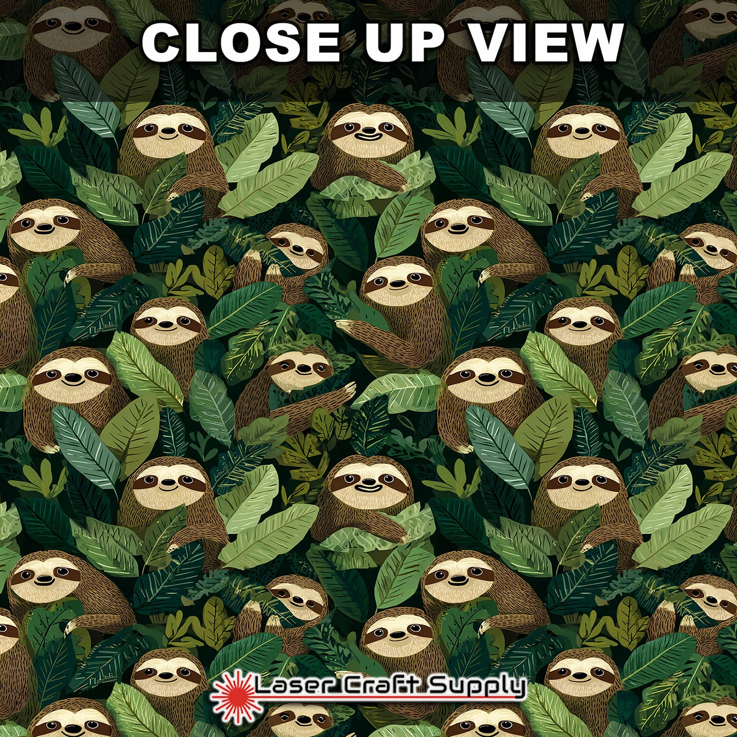 Lotsa Sloth
