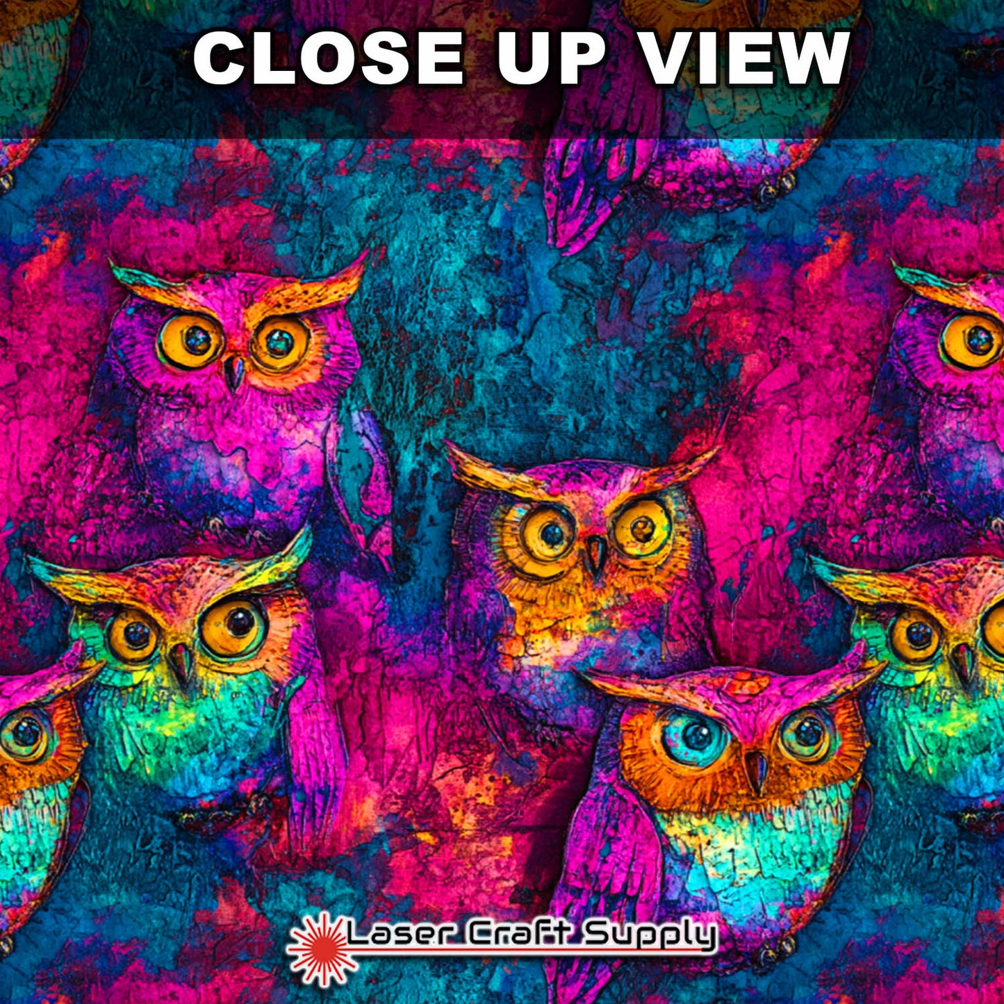 Owls in Color - Creative Cast