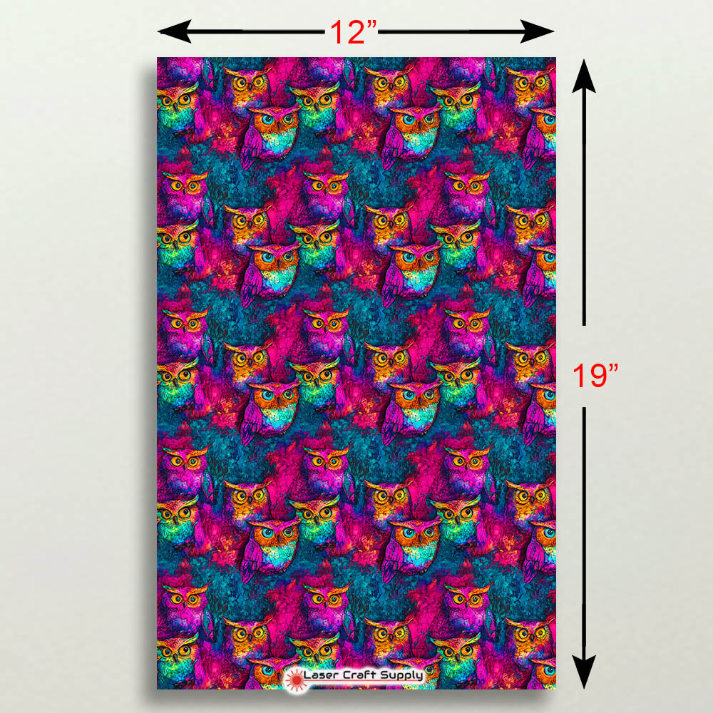 Owls in Color - Creative Cast