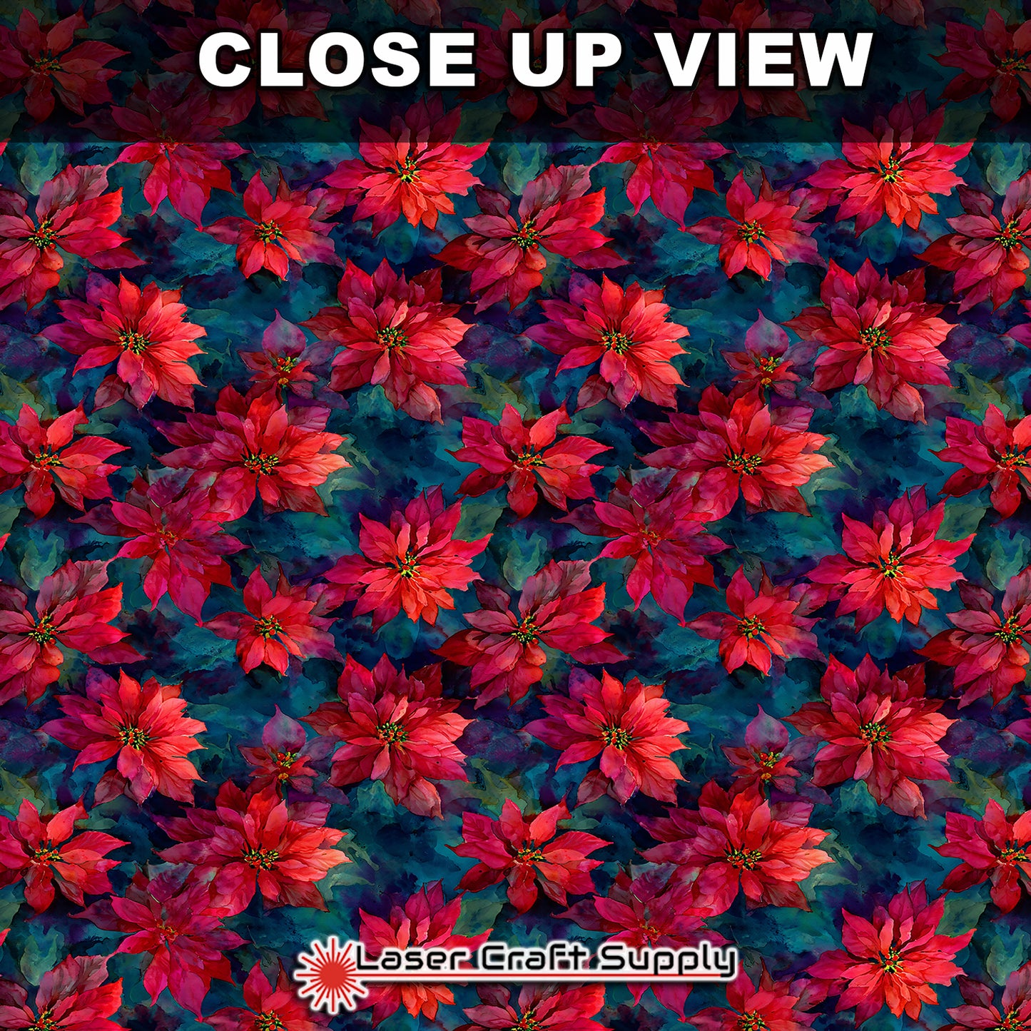 Perfect Pointsettias