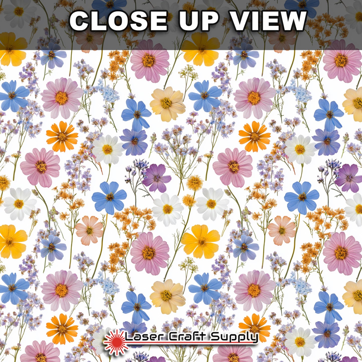 Creative Cast Acrylics - Pressed Flowers and Stems