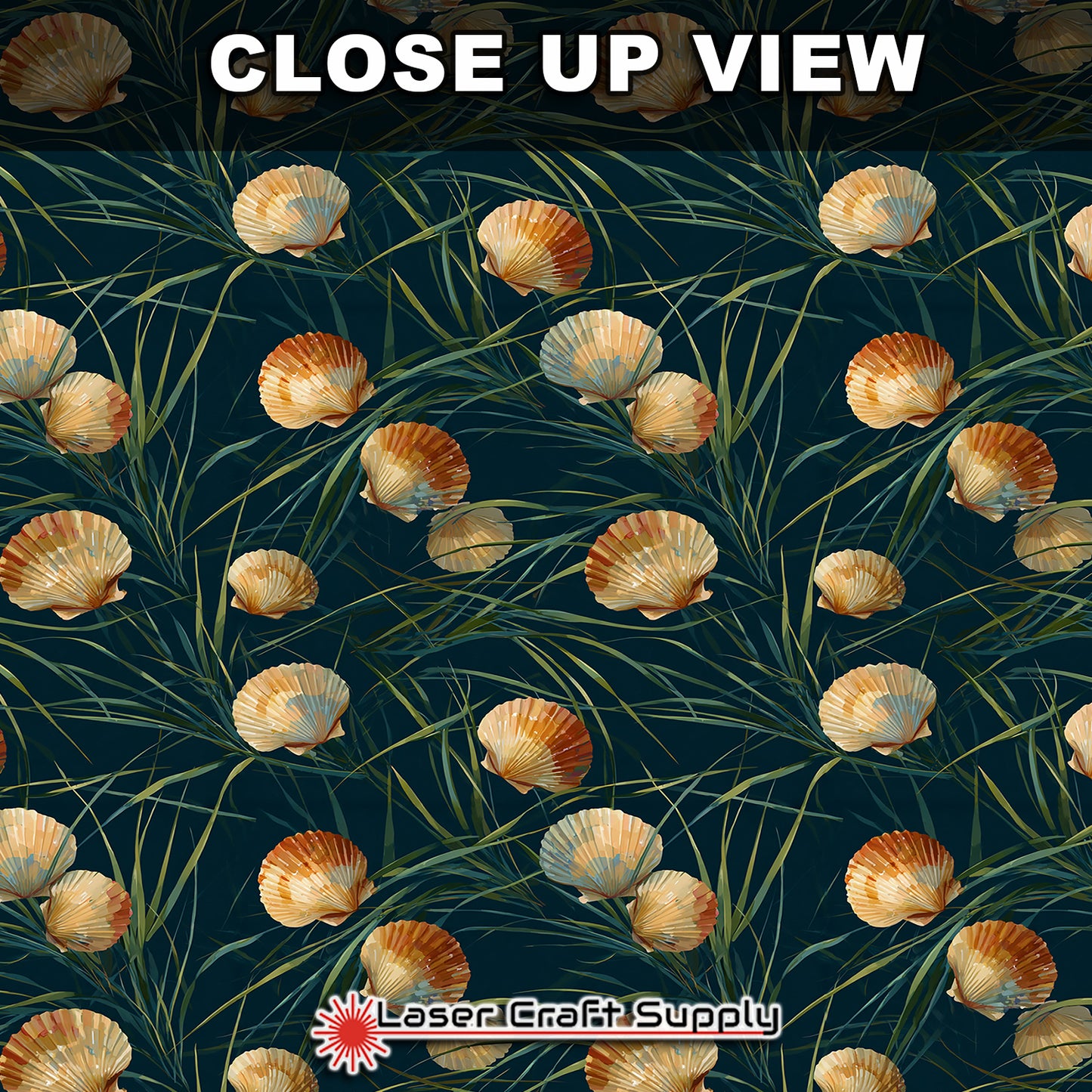 Scallops in the Grass