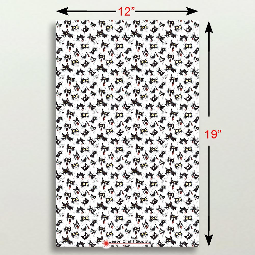 Creative Cast Acrylics - Surprised Cat Doodle