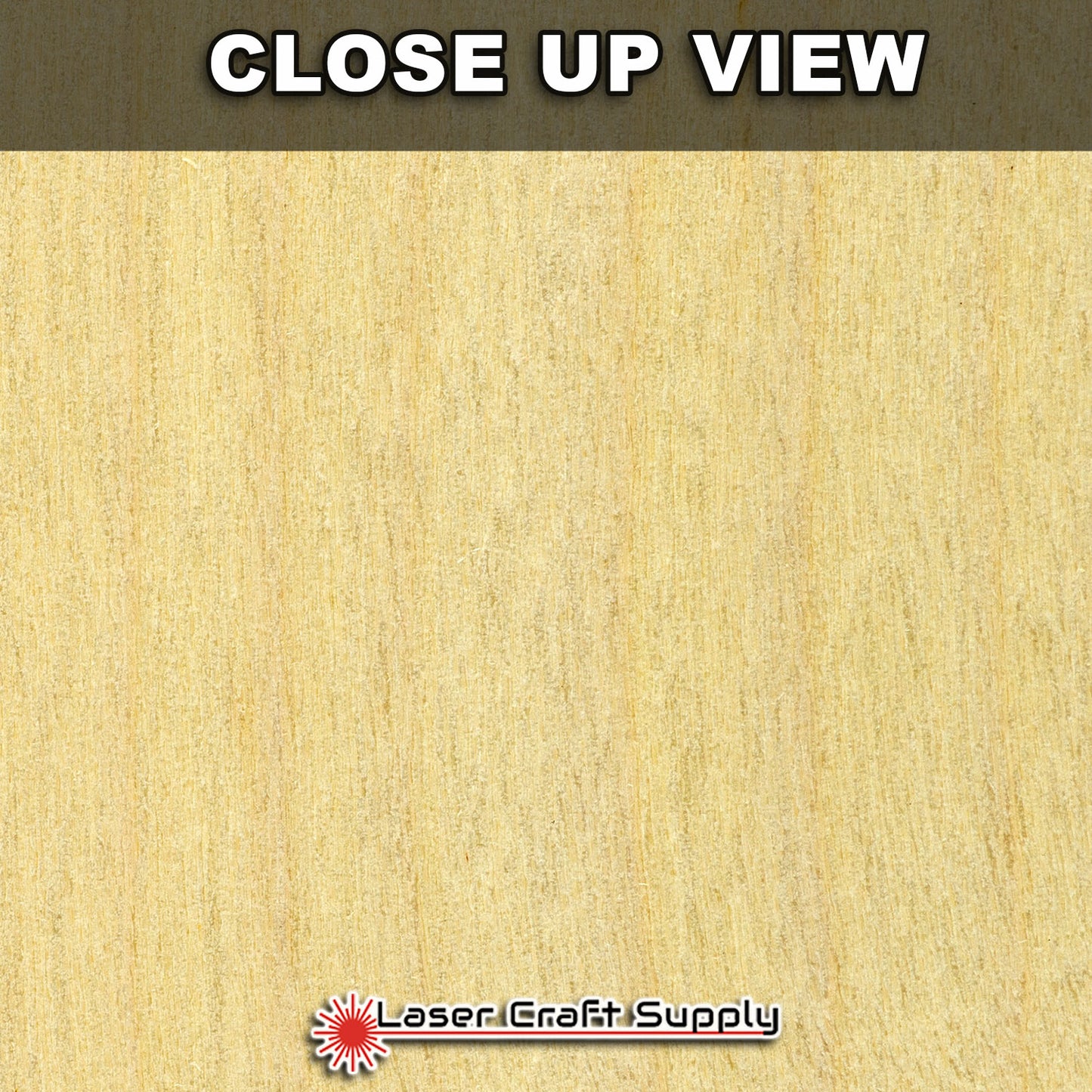 Birch Wood