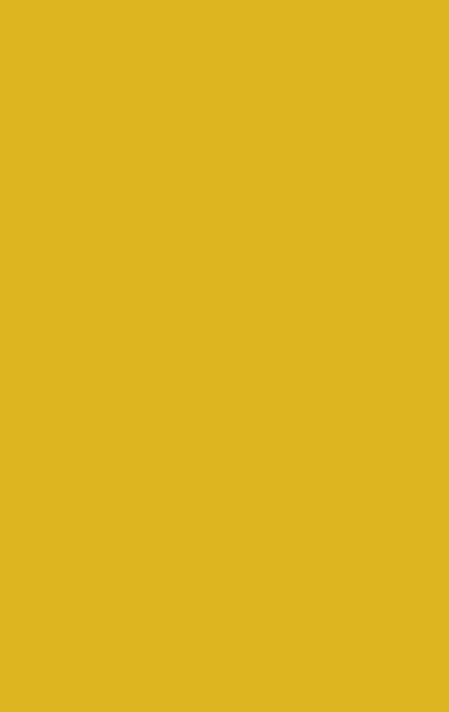 Yarrow - Solid Color
